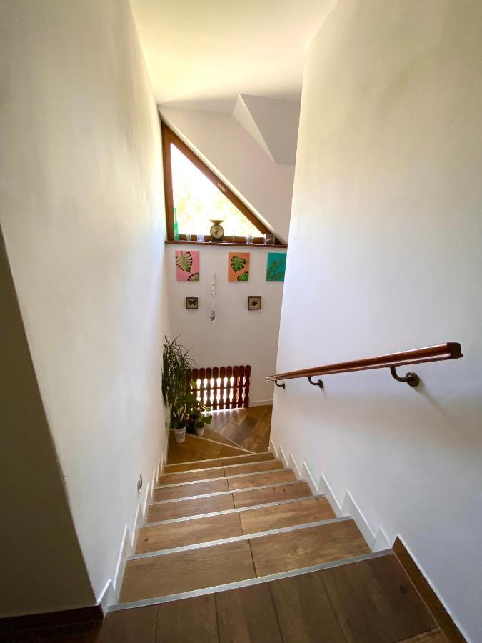 Agroturystyka Sarni Stok Krynica Zdroj Exterior photo