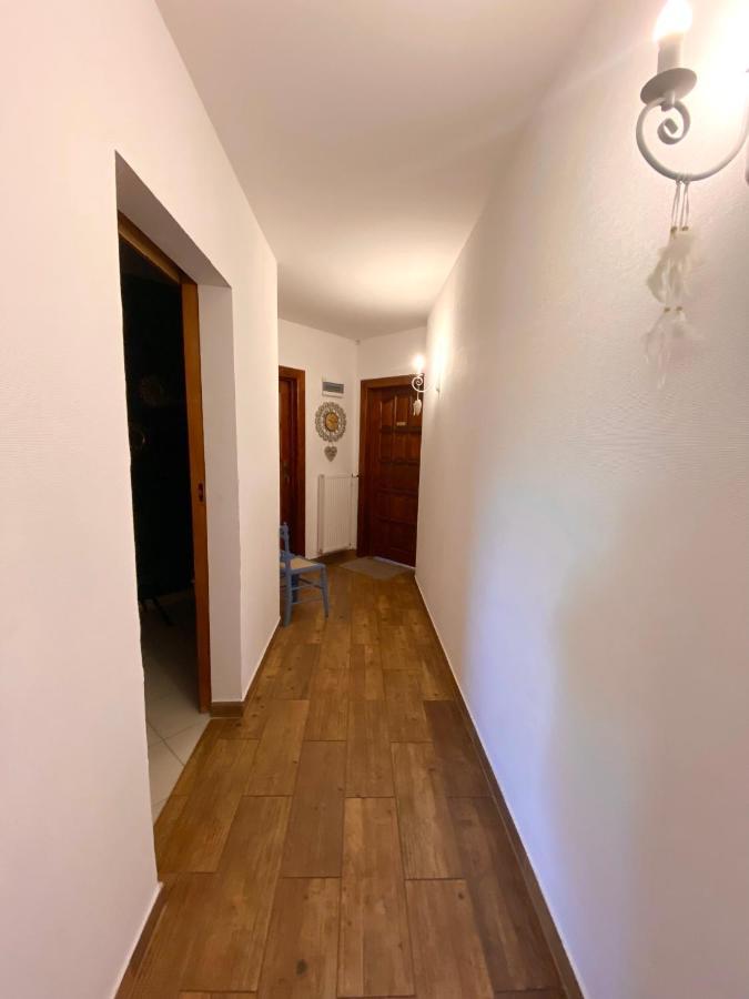 Agroturystyka Sarni Stok Krynica Zdroj Exterior photo